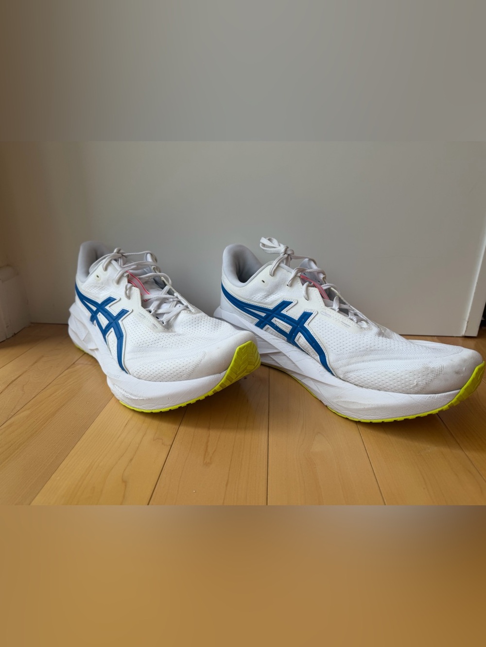 Asics men’s Novablast 5 Running Shoes